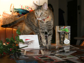 Enlarge photo 9