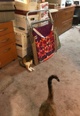 Enlarge photo 2
