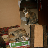 Enlarge photo 2