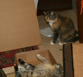 Enlarge photo 3