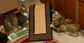 Enlarge photo 17