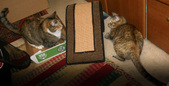 Enlarge photo 18