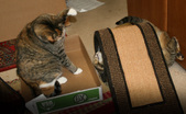 Enlarge photo 22