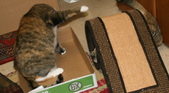 Enlarge photo 23
