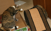 Enlarge photo 24