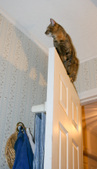 Enlarge photo 4