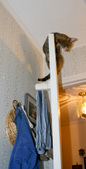 Enlarge photo 5