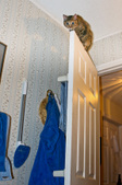 Enlarge photo 14