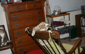 Enlarge photo 16