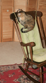 Enlarge photo 17