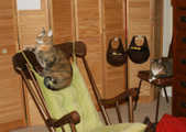 Enlarge photo 18