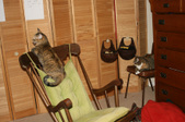 Enlarge photo 19