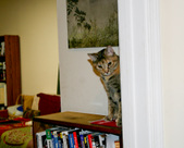 Enlarge photo 13