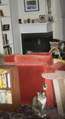 Enlarge photo 17