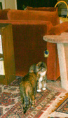 Enlarge photo 18
