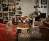 Enlarge photo 19
