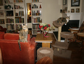 Enlarge photo 20