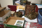 Peaches & Paprika join forces