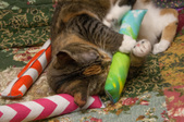 Enlarge photo 14
