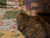 Enlarge photo 22