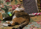 Enlarge photo 19