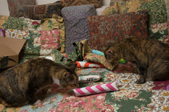 Enlarge photo 4