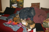 Enlarge photo 2