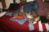 Enlarge photo 3
