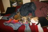 Enlarge photo 8