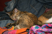 Enlarge photo 19