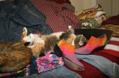 Enlarge photo 24
