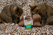 Enlarge photo 17