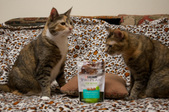 Enlarge photo 18