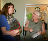 Therapy Cats Nutmeg TV show