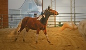 Enlarge photo 14