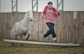 Enlarge photo 22
