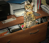 Enlarge photo 4