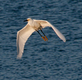 Enlarge photo 16