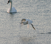 Enlarge photo 16