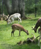 Enlarge photo 19