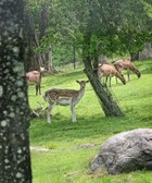 Enlarge photo 20
