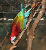 Enlarge photo 18