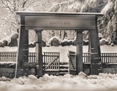 Enlarge photo 18