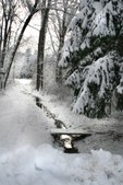 Enlarge photo 11