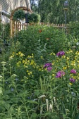 Enlarge photo 3