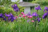 Enlarge photo 14