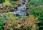 Enlarge photo 15