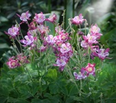 Enlarge photo 8
