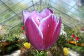 Enlarge photo 3