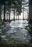 The Beginning of Spring